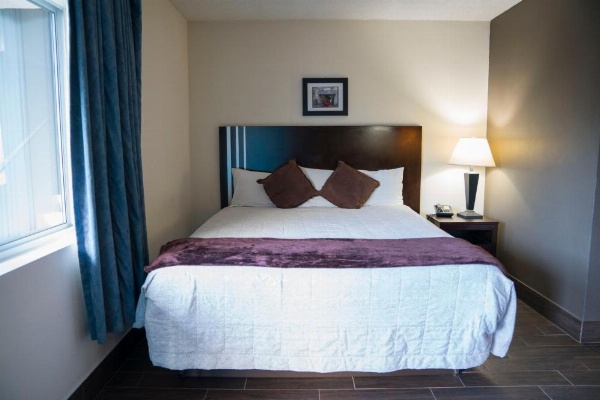 Orange Tree Inn image 21