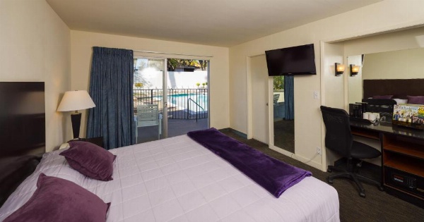 Orange Tree Inn image 8